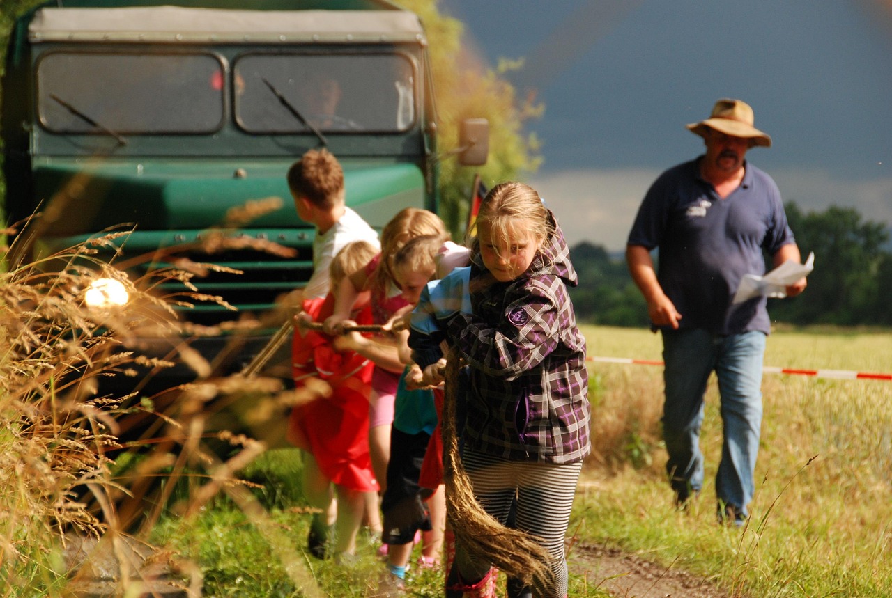 Sommerfest Sønderjylland naturligt